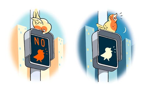Noise Pollution