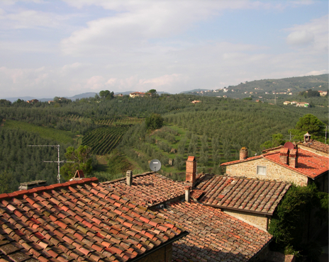 Vinci View
